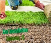 ProClass Lawn and Landscaping LLC